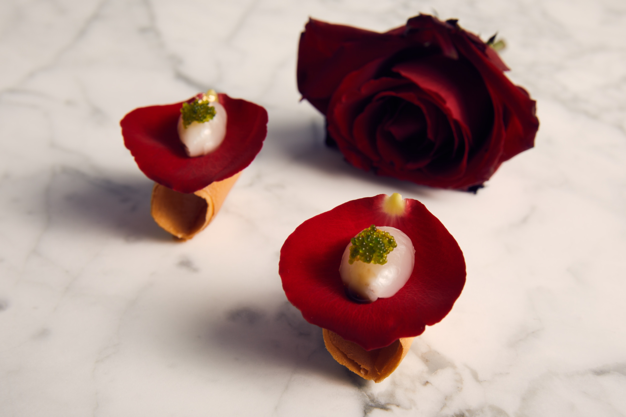 Premium lüks catering İstanbul Bando Fine Catering zarif açık büfe etkinliği 2026